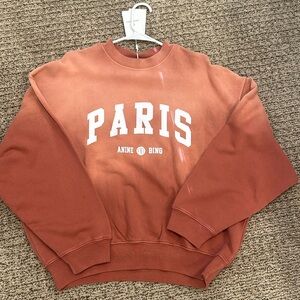Anine Bing Paris Graphic Sweatshirt in Burnt Orange